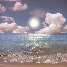 Ảnh đại diện người dùng